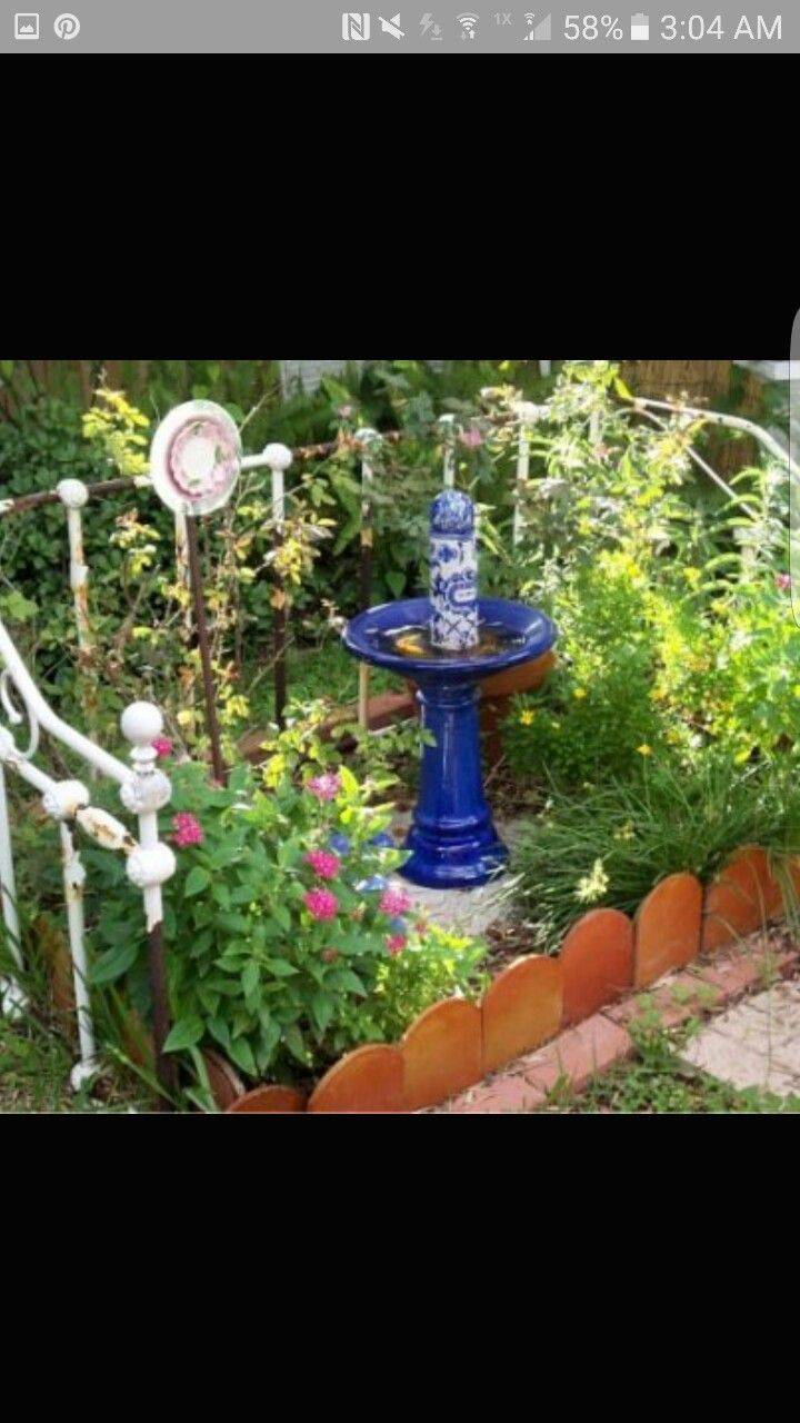 Our Southwest Garden