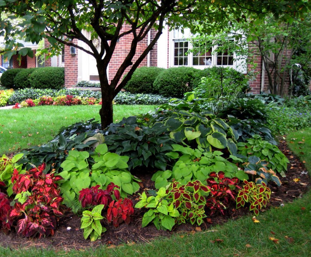 Best And Wonderful Colorful Shade Garden Pots Ideas