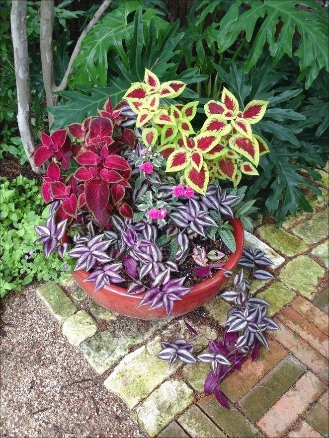 Best And Wonderful Colorful Shade Garden Pots Ideas