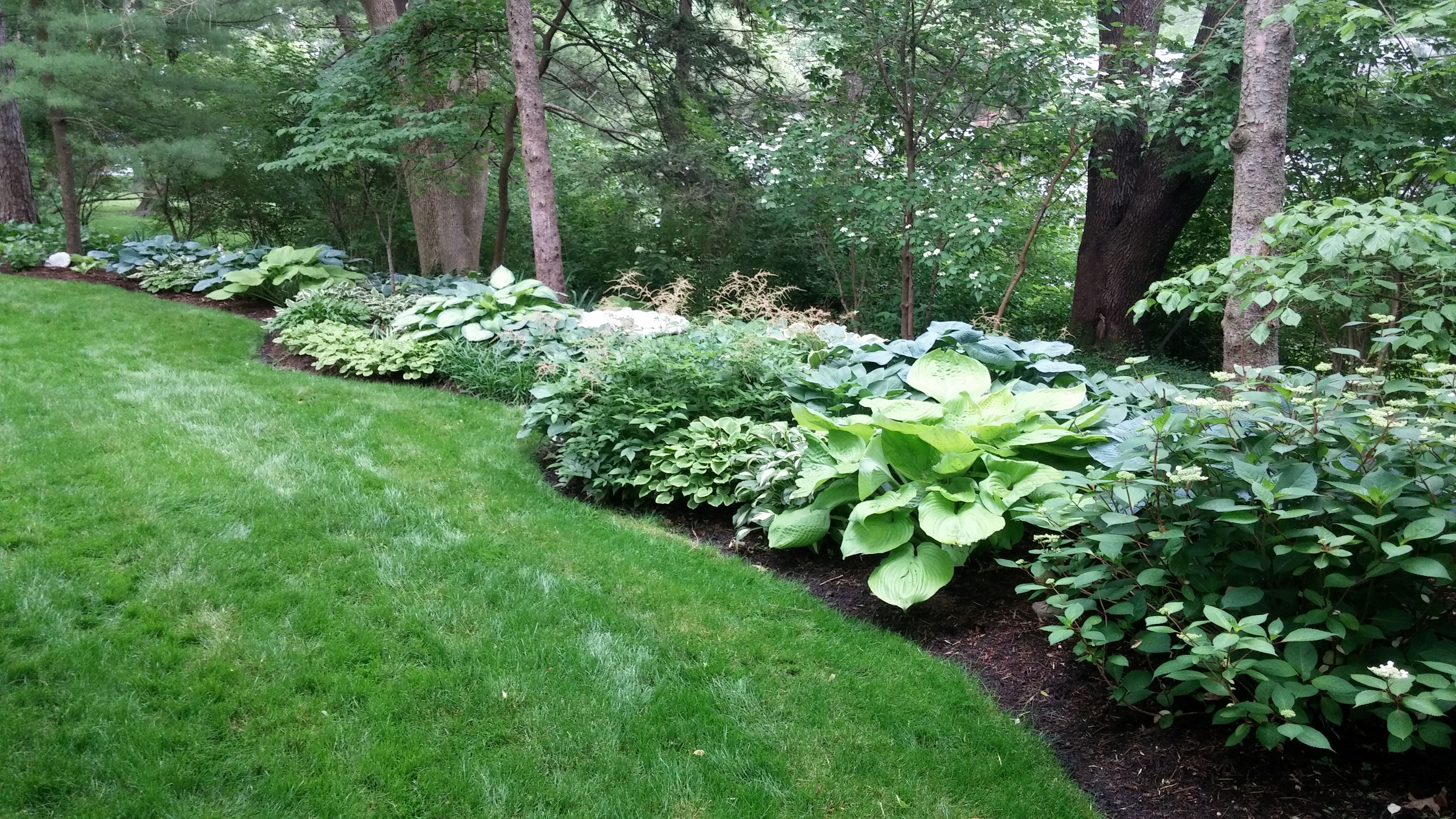 Enchanting Colorful Shade Garden Pots Ideas