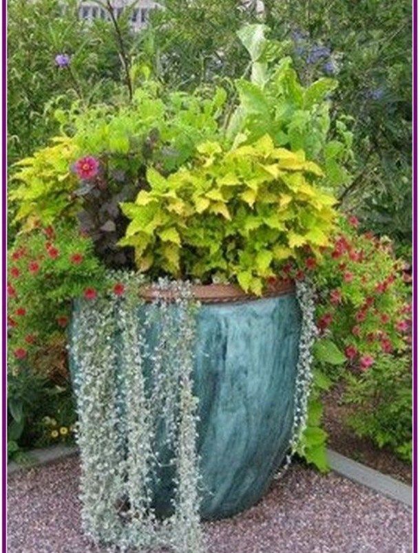 Best And Wonderful Colorful Shade Garden Pots Ideas