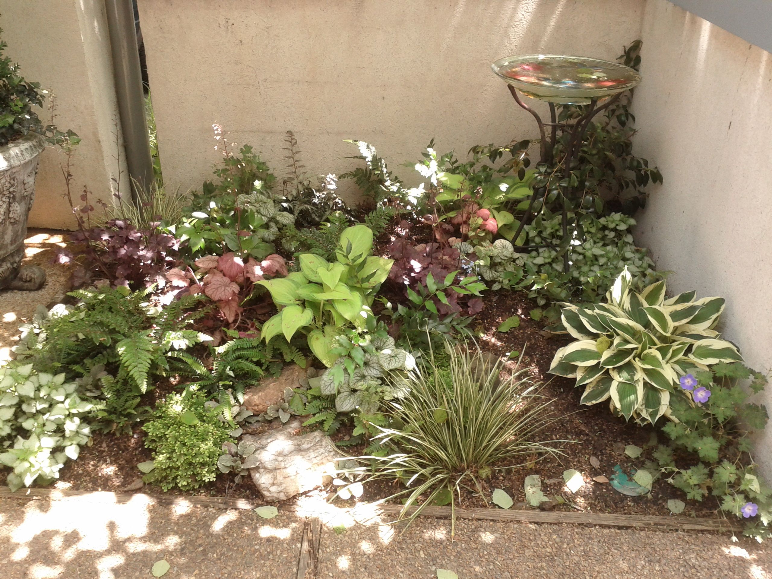 Urban Shade Gardening