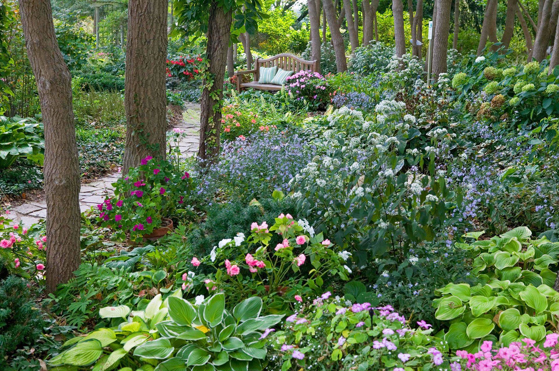 Hosta Shade Garden Front Yard Landscaping Design