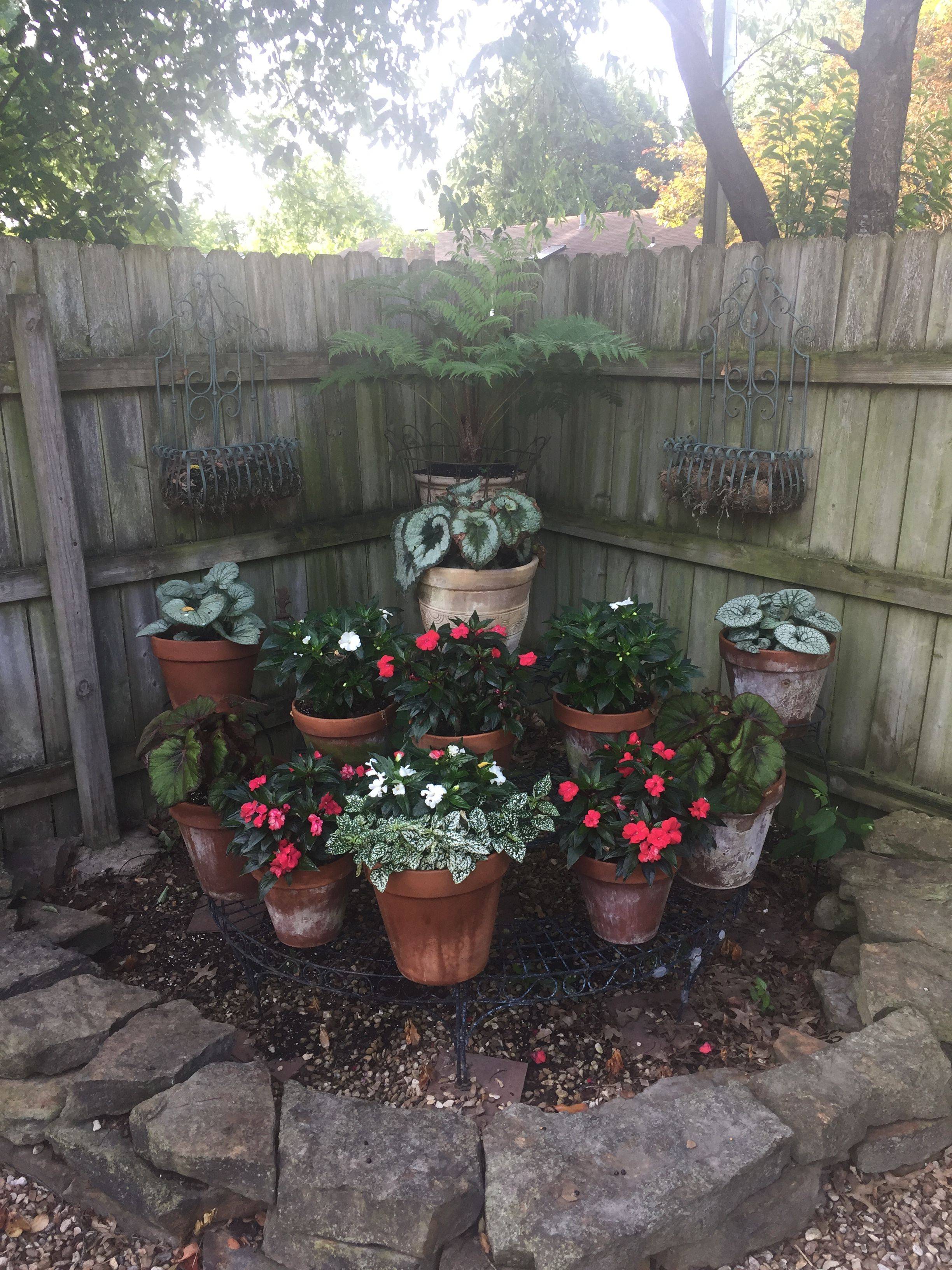 Shady Corner Landscaping Ideas