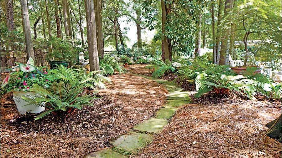 Harmony Woodland Garden