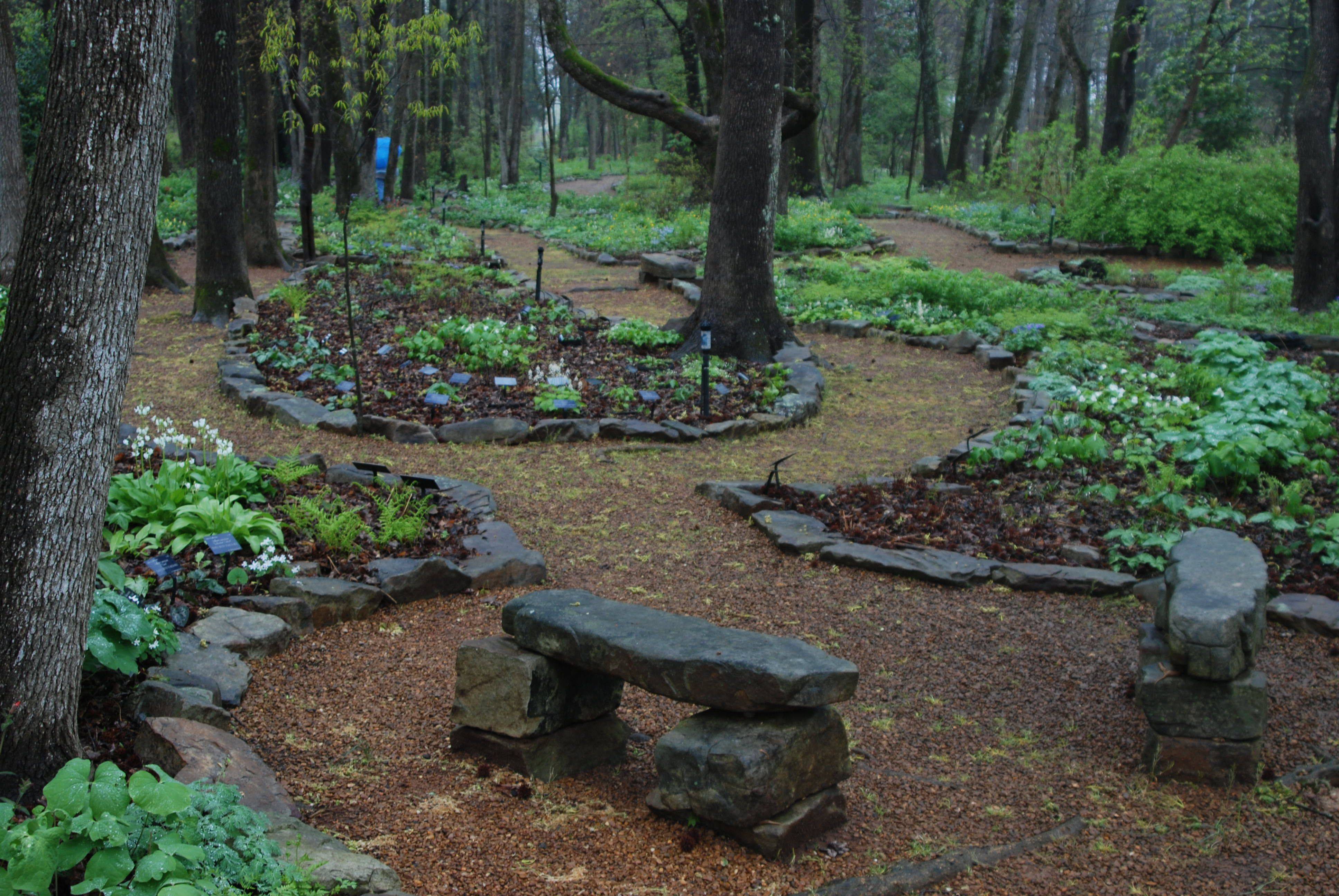 Large Backyard Landscaping