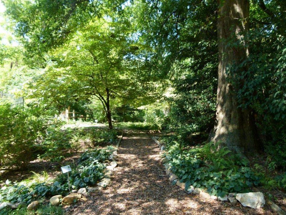 Landscaping Sloped Backyard