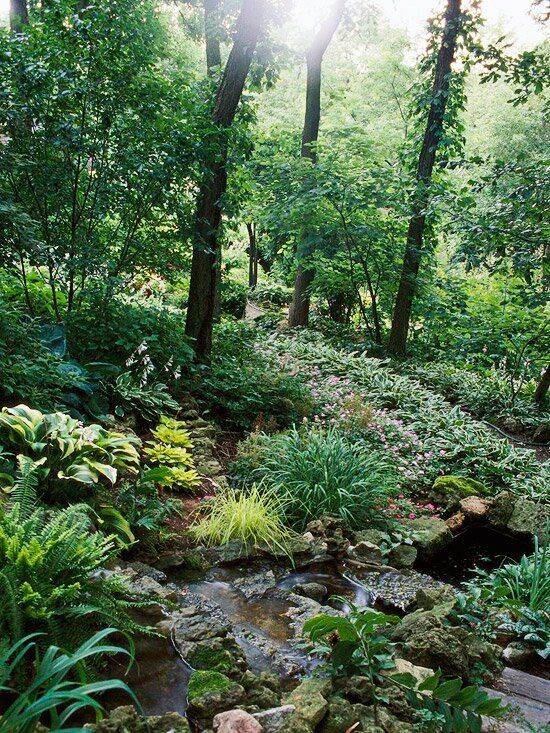 Shade Garden Ideas