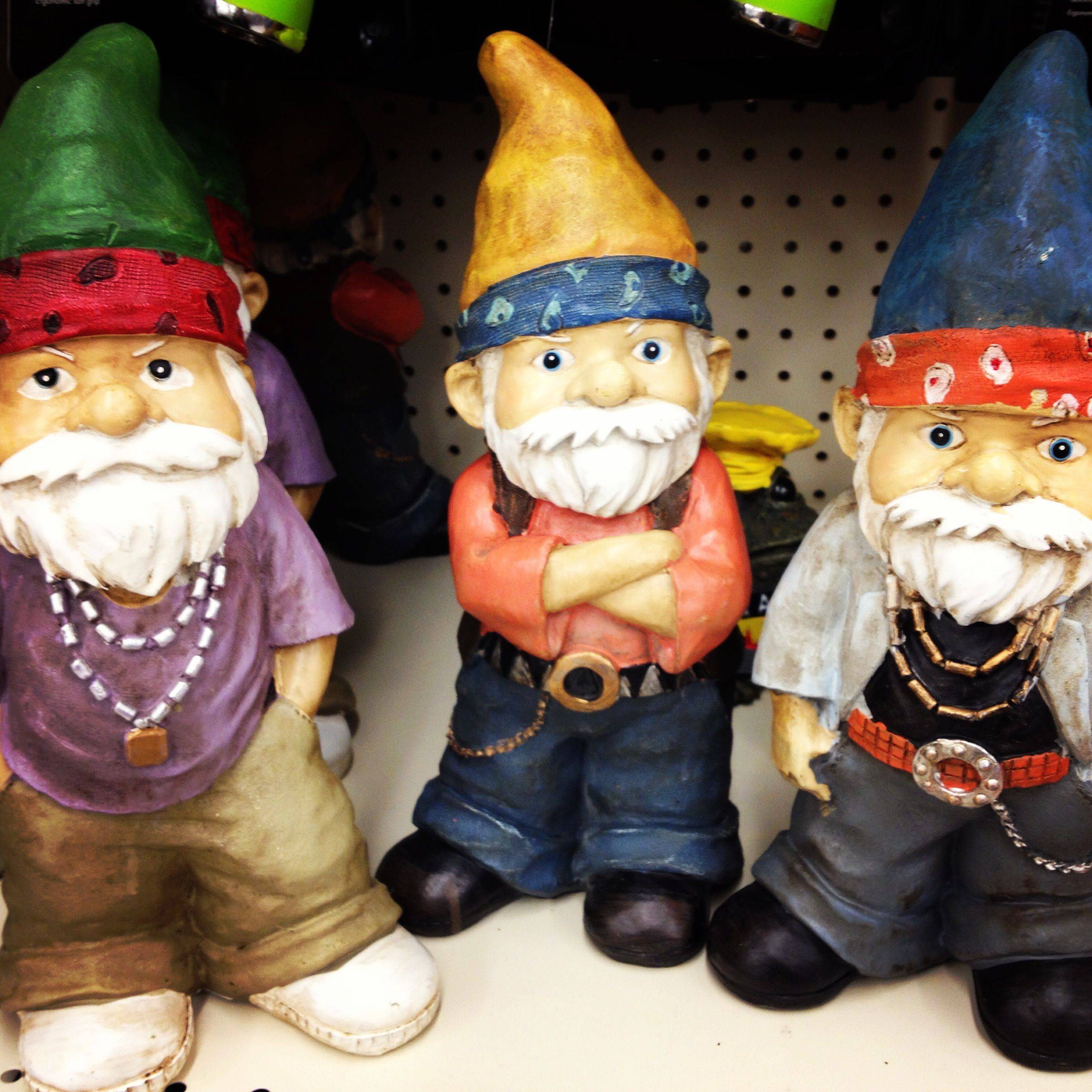 Walgreens Gnomes