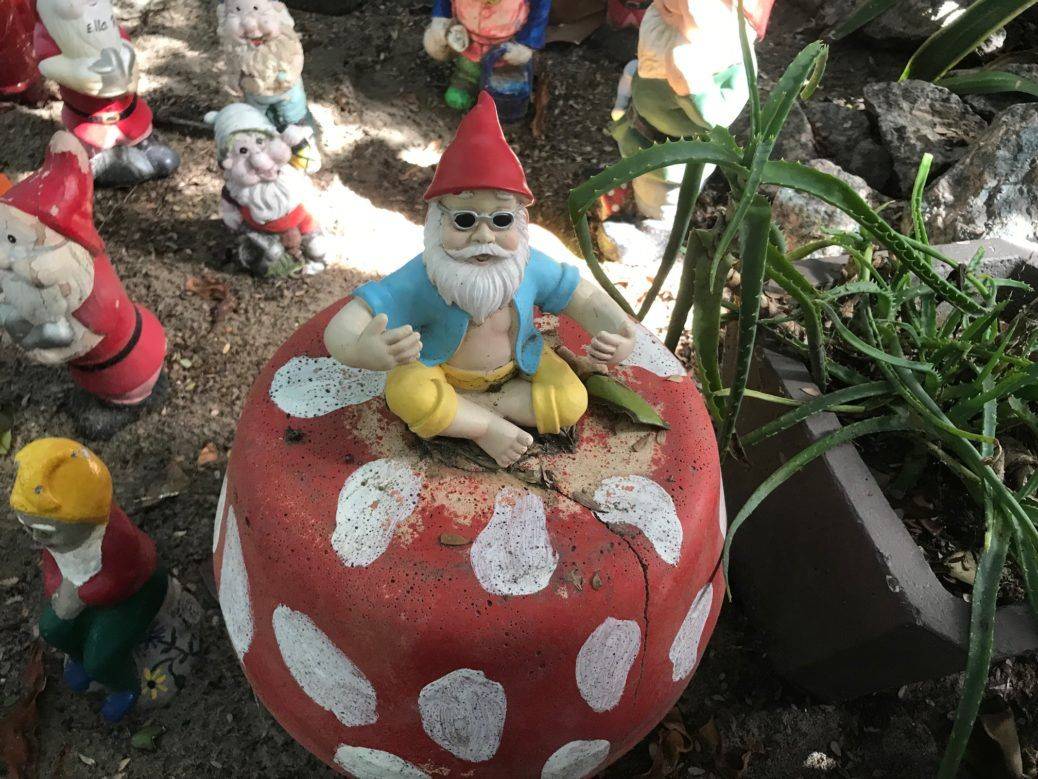 Garden Gnome Garden Decor Garden Home Dcor