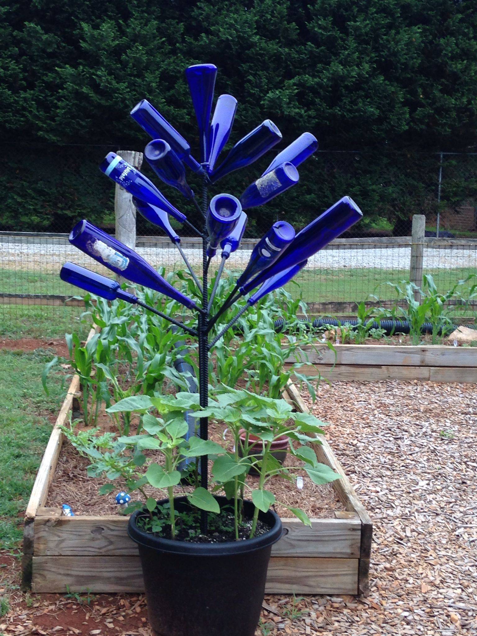 21 Garden Bottle Tree Ideas To Try This Year SharonSable