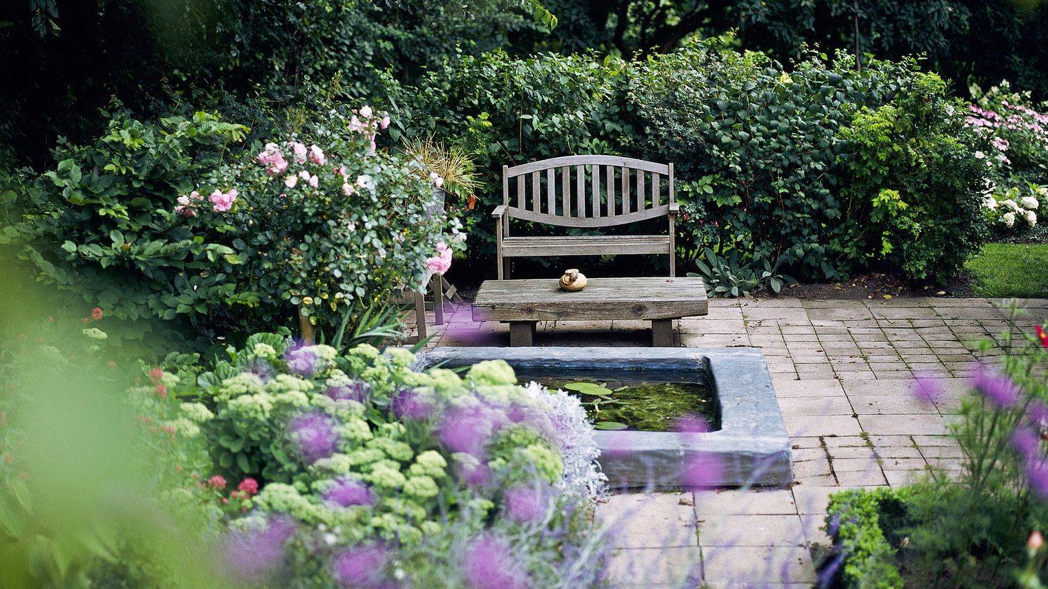 Backyard Seating Area