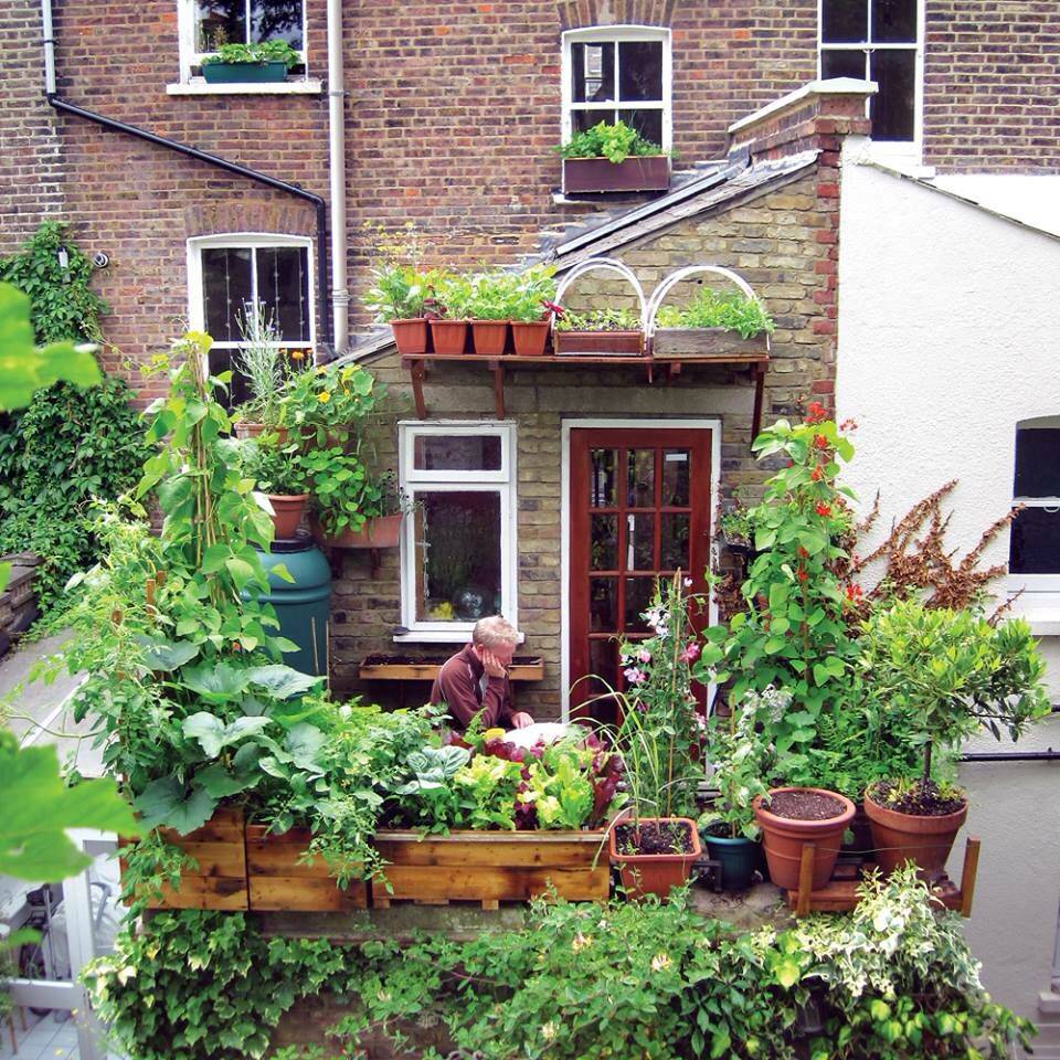 Small Backyard Ideas