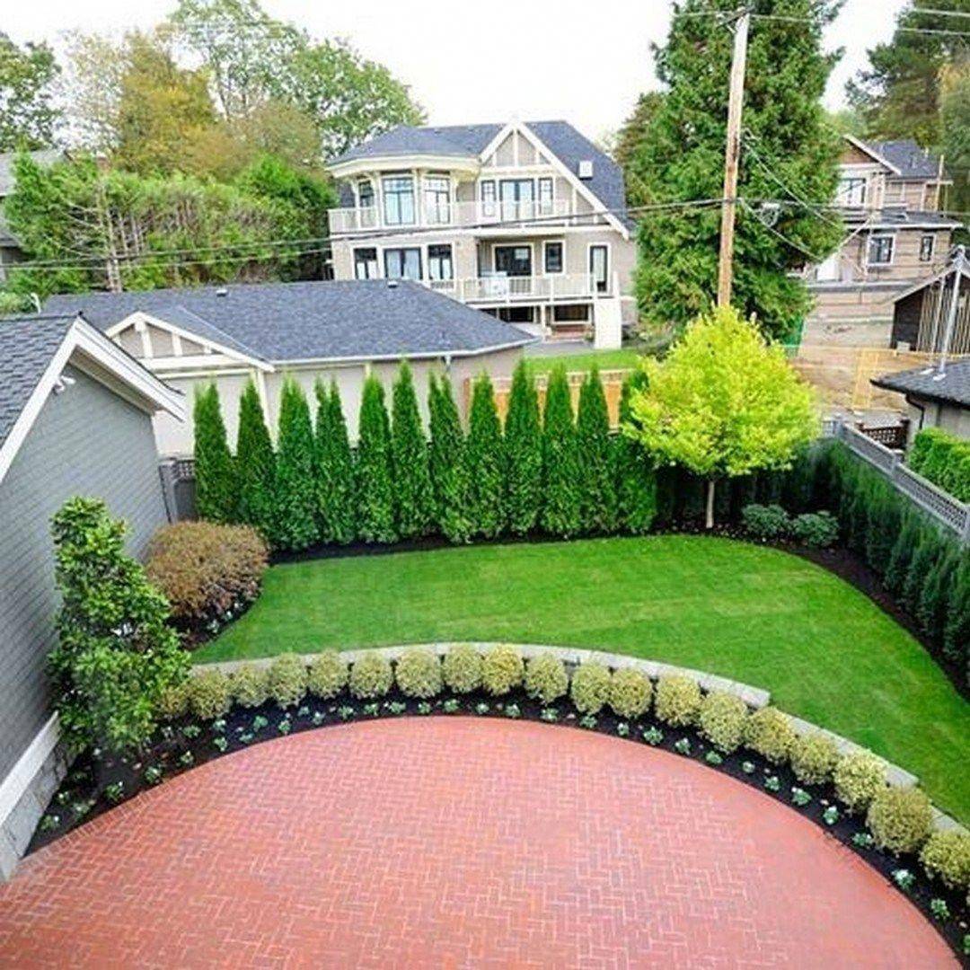 Cheap Privacy Landscaping Ideas