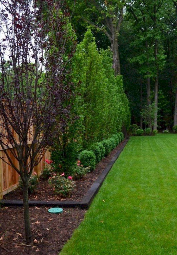 Backyard Privacy Fence Landscaping Ideas