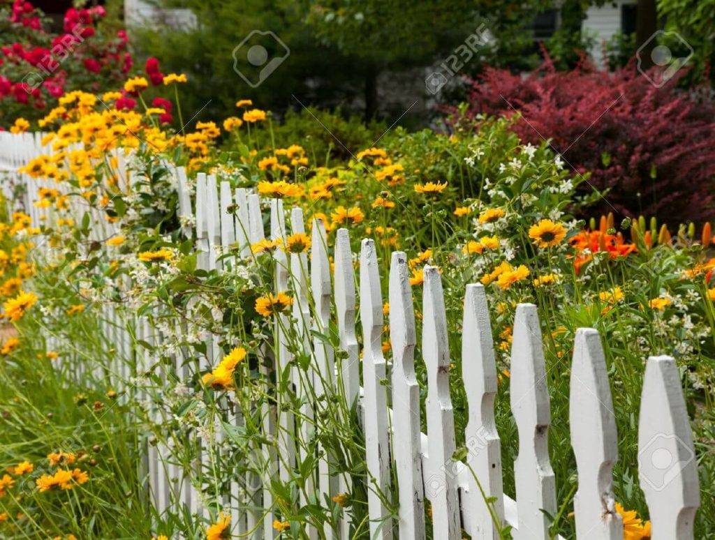An Old Picket Fence