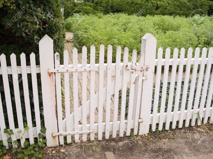 Picket Fence Garden Design