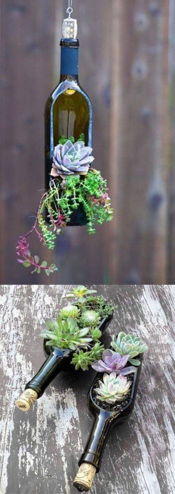 Brilliant Plastic Bottle Garden Ideas