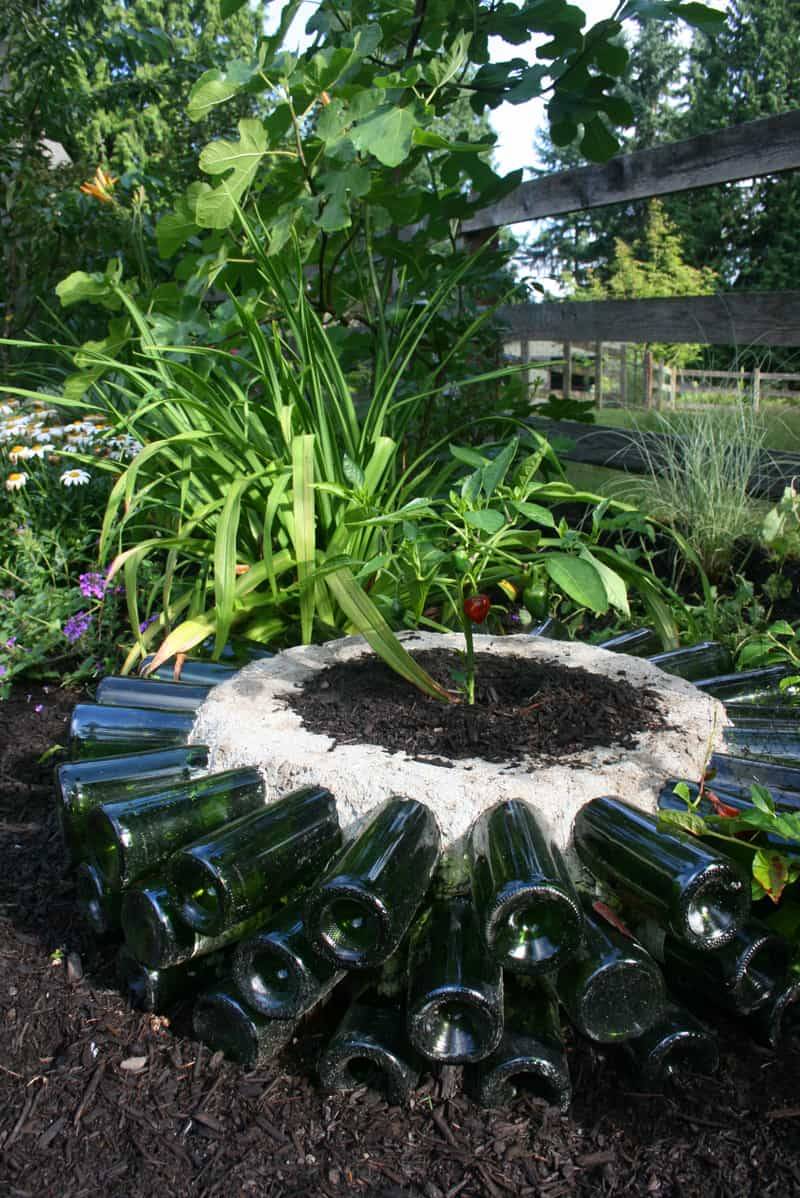 Brilliant Plastic Bottle Garden Ideas