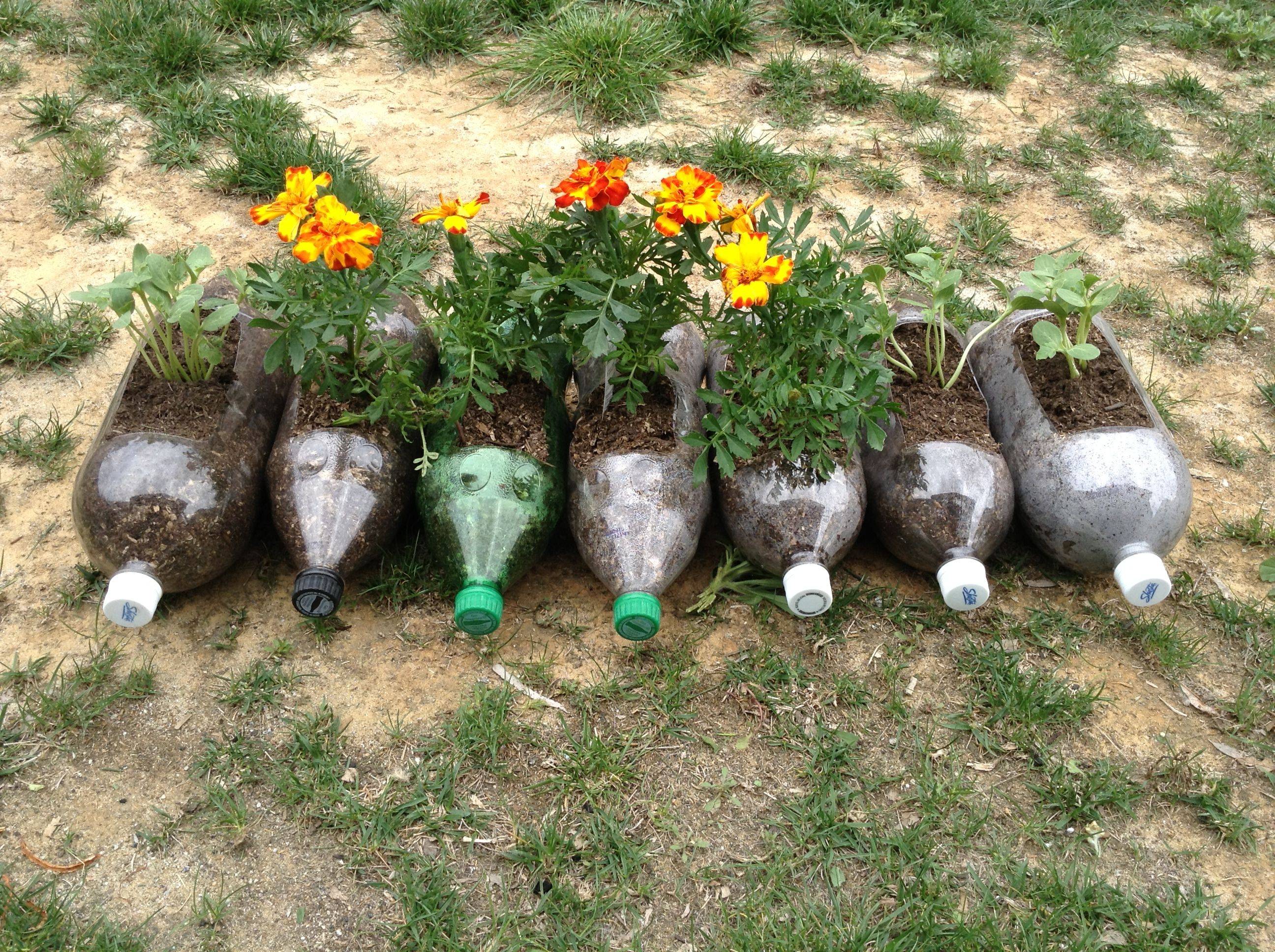 Brilliant Plastic Bottle Garden Ideas