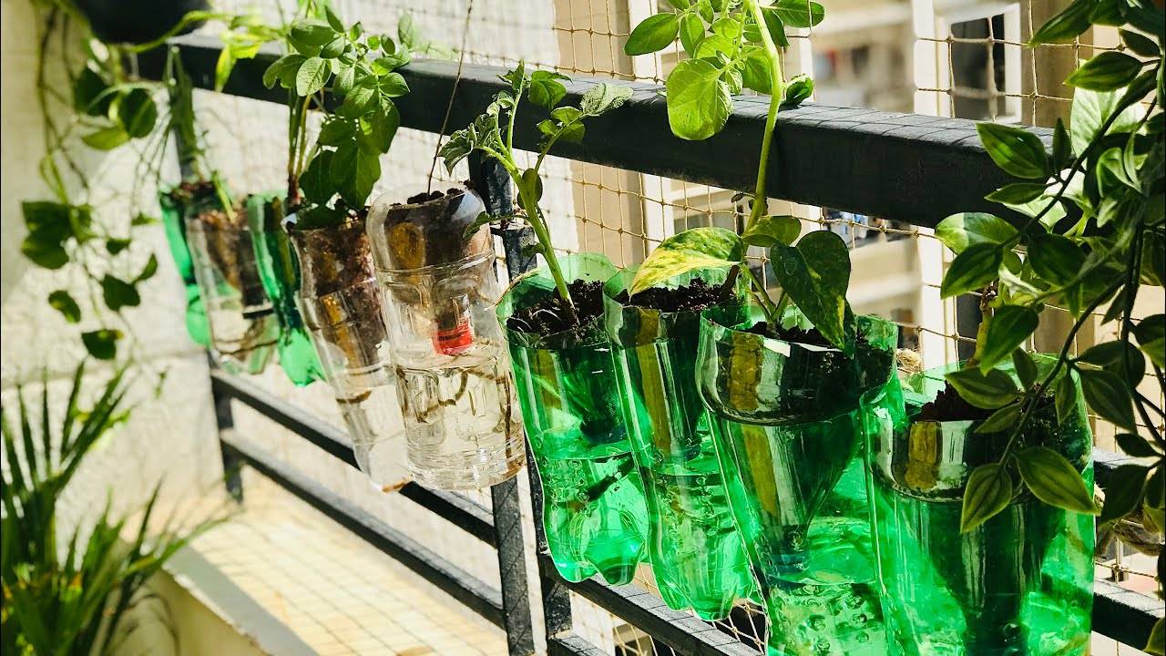 A Wine Bottle Screen Garden Feature