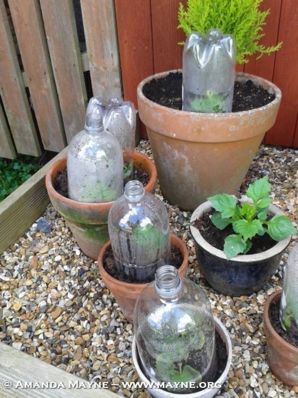 Brilliant Diy Vertical Garden Plastic Bottles