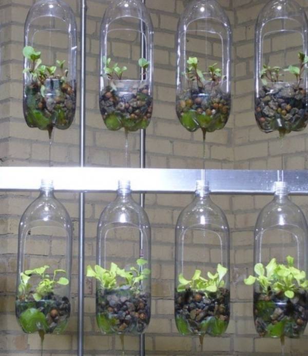 Clever Plastic Bottle Vertical Garden Ideas