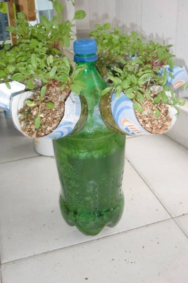 Brilliant Plastic Bottle Garden Ideas