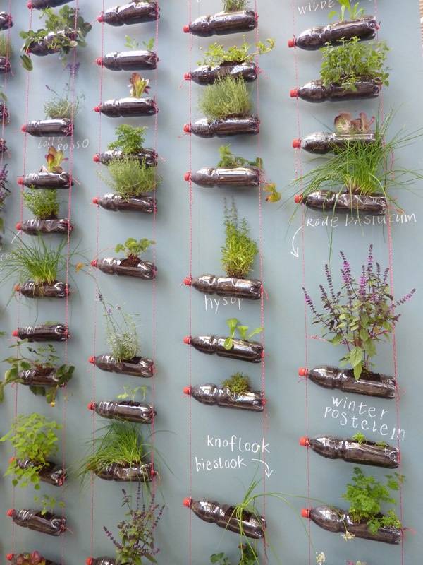 Brilliant Plastic Bottle Garden Ideas