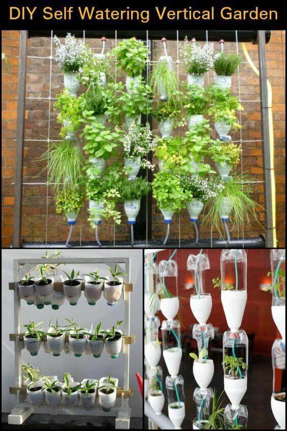 Brilliant Plastic Bottle Garden Ideas