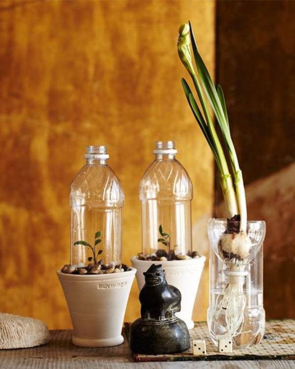 Brilliant Plastic Bottle Garden Ideas