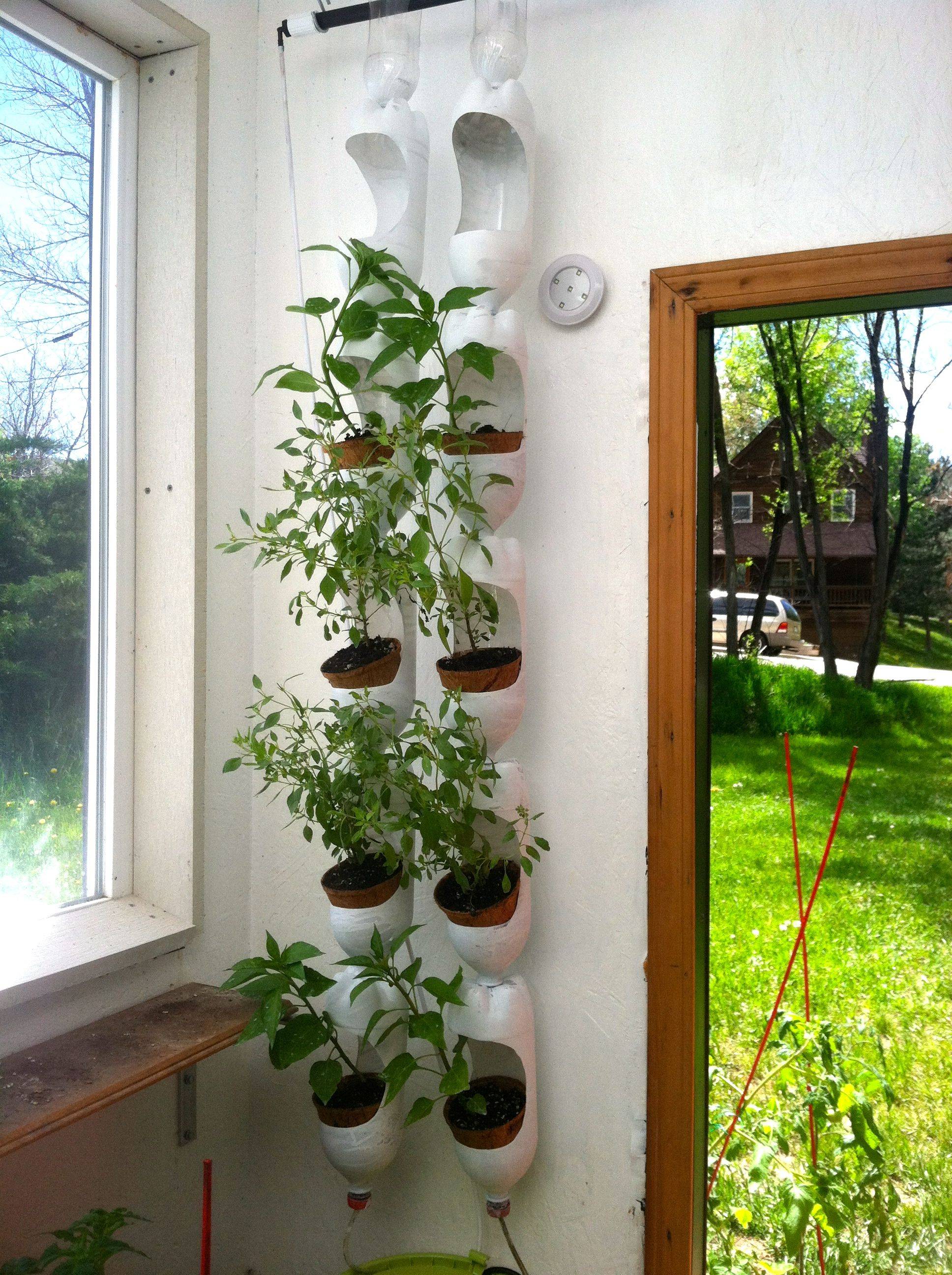Plastic Bottle Vertical Garden Ideas