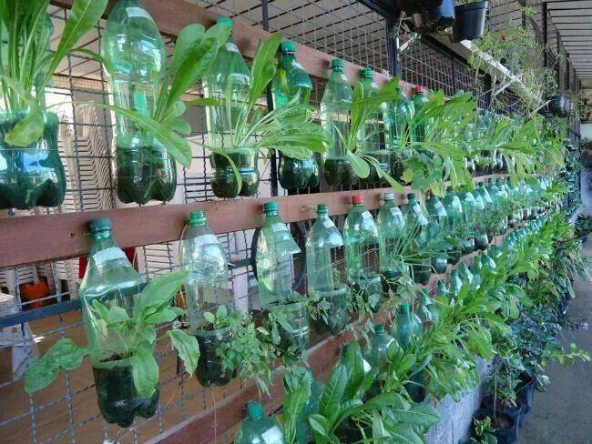 Fabulous Upcycled Indoor Garden Ideas