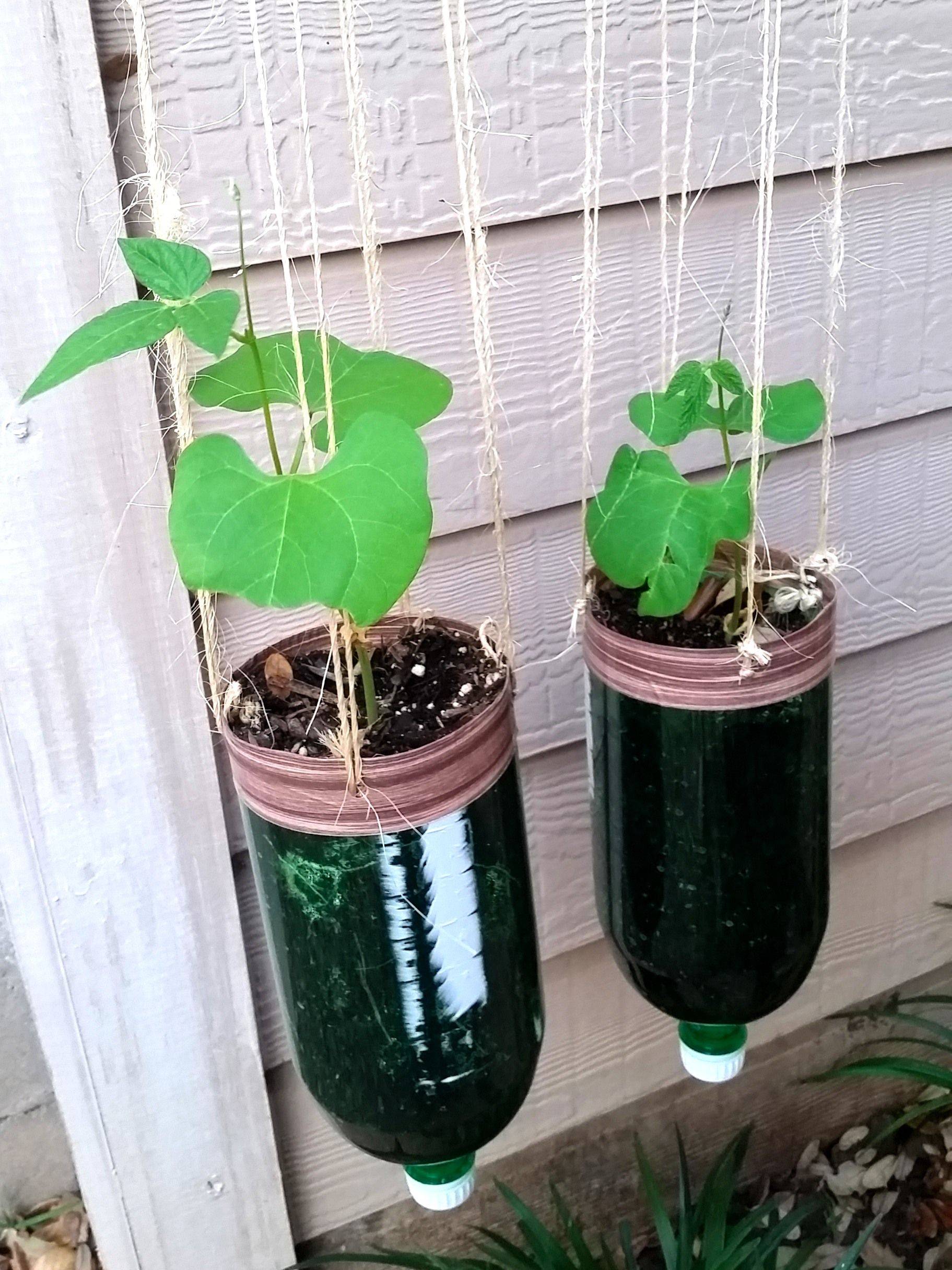 Clever Plastic Bottle Vertical Garden Ideas