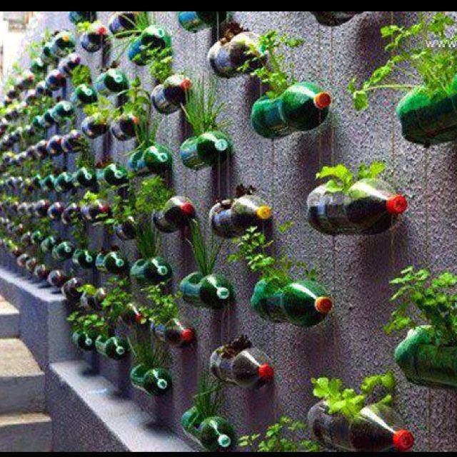 Brilliant Plastic Bottle Garden Ideas