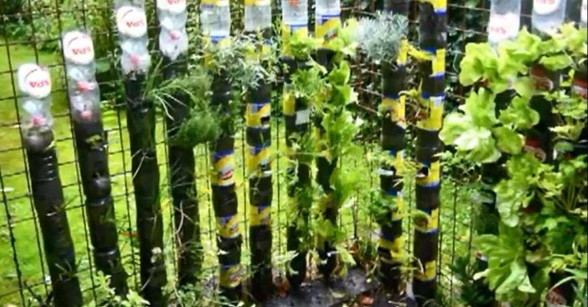 Recycled Garden Ideas