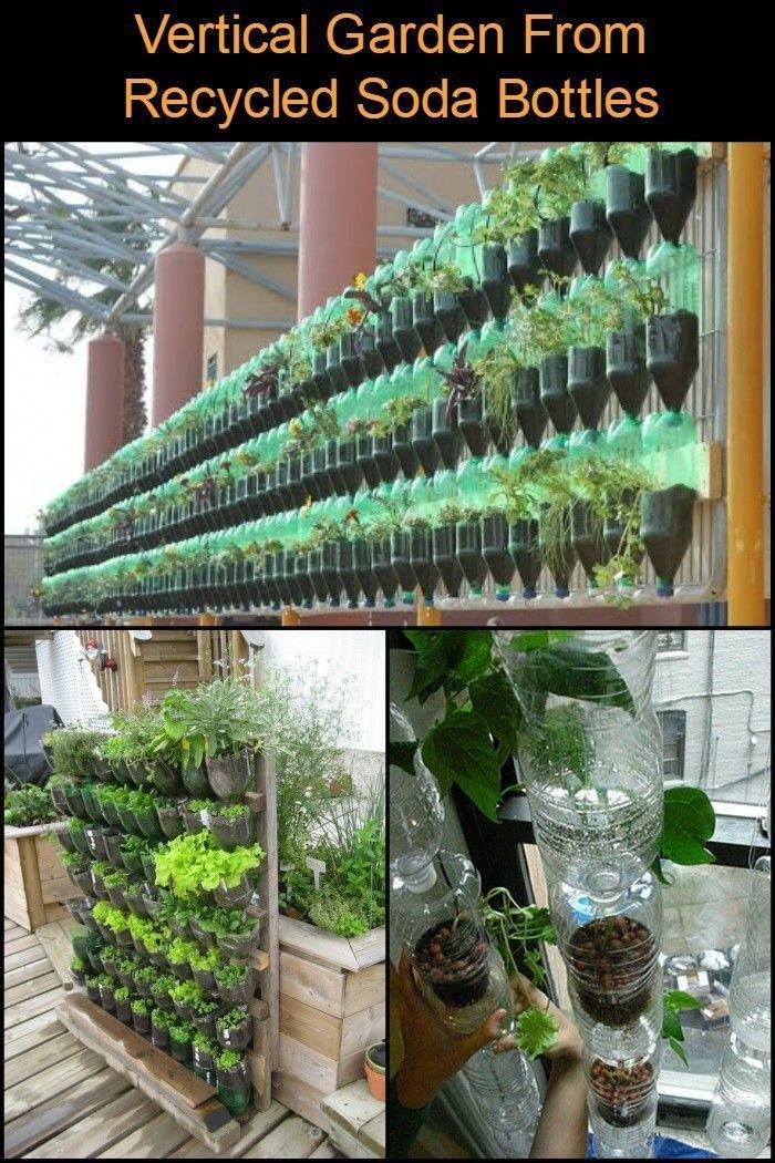 Vertical Garden