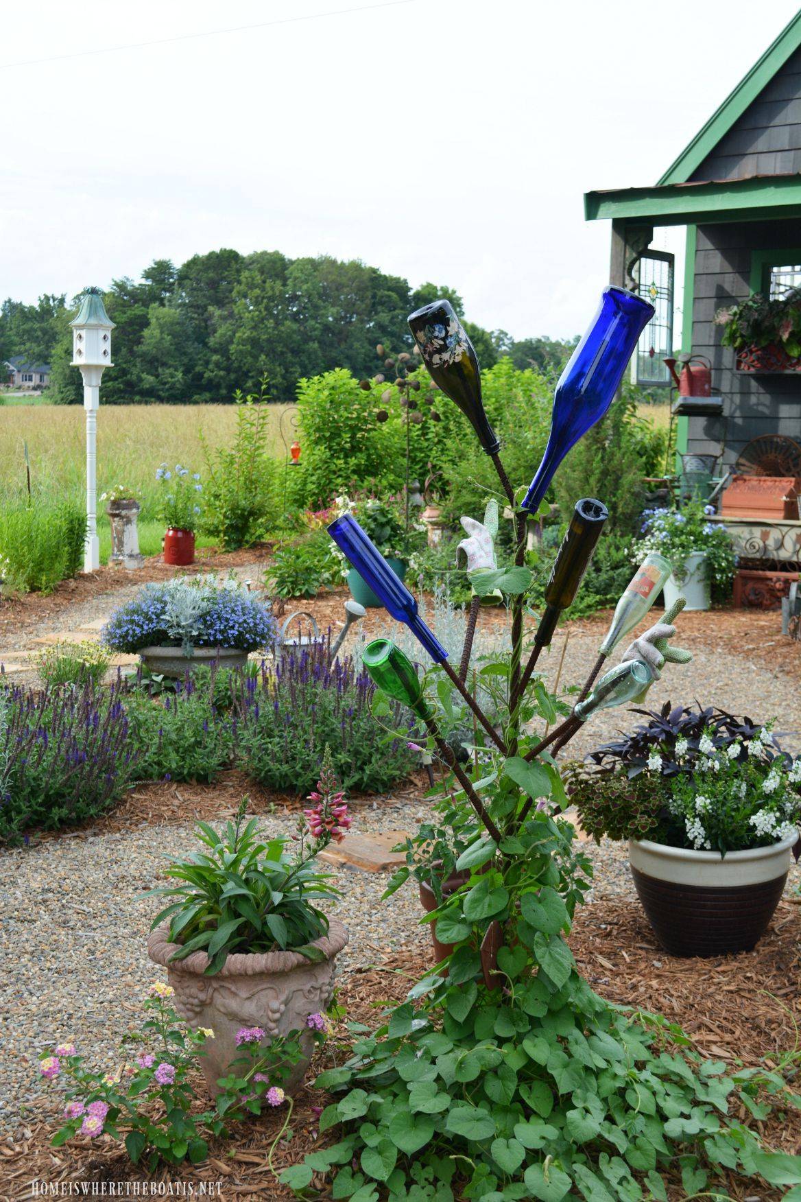 A Blue Wine Bottle Tree