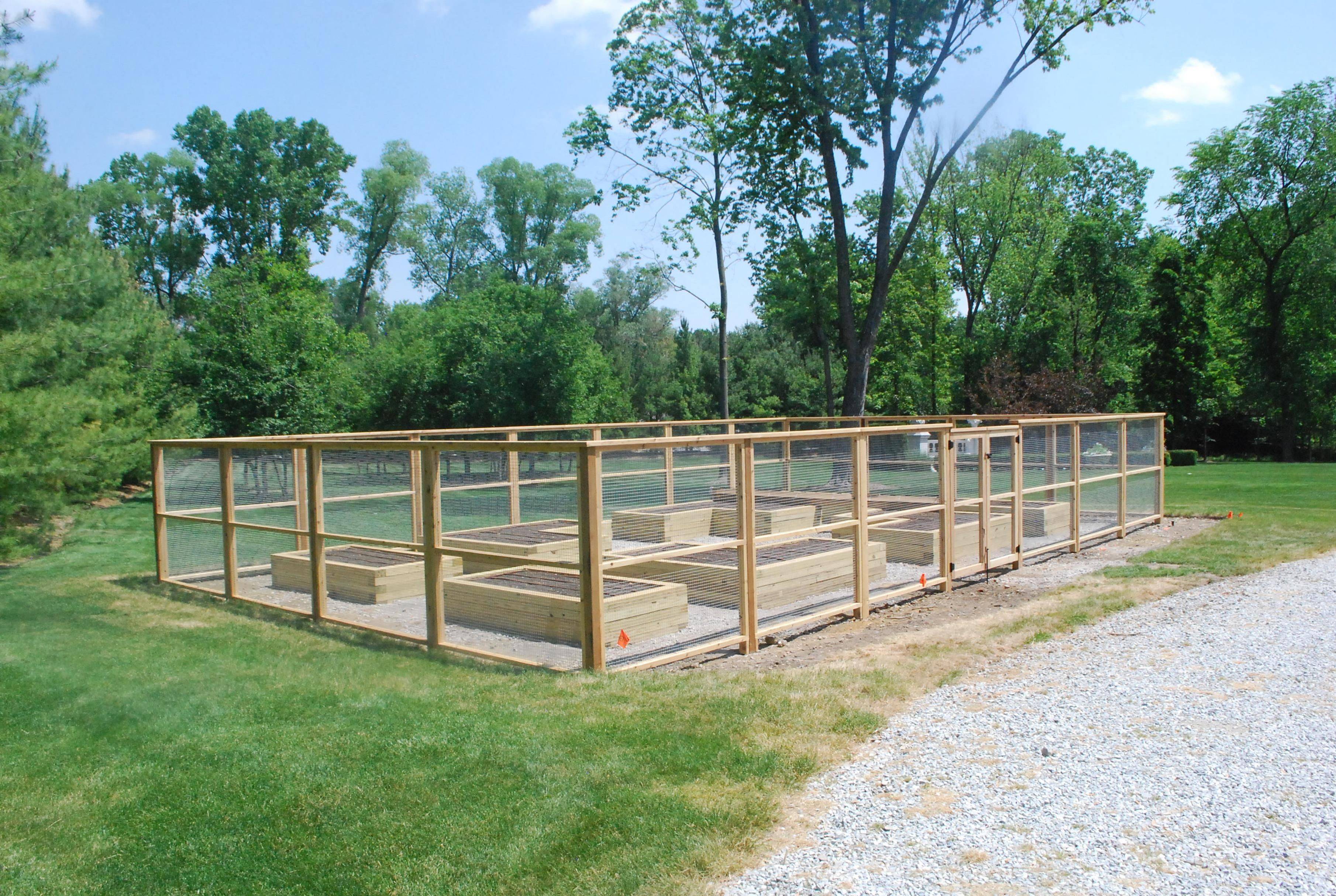 Our Deer Proof Garden