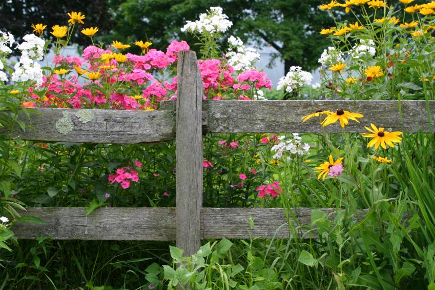 Absolutely Beautiful Garden Fence