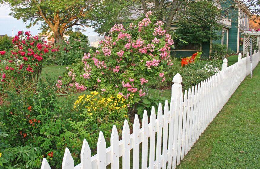 Decorative Garden Border Fencing