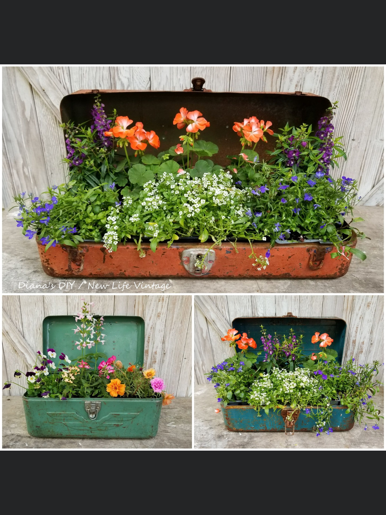 Flea Market Finds Gingham Gardens Garden