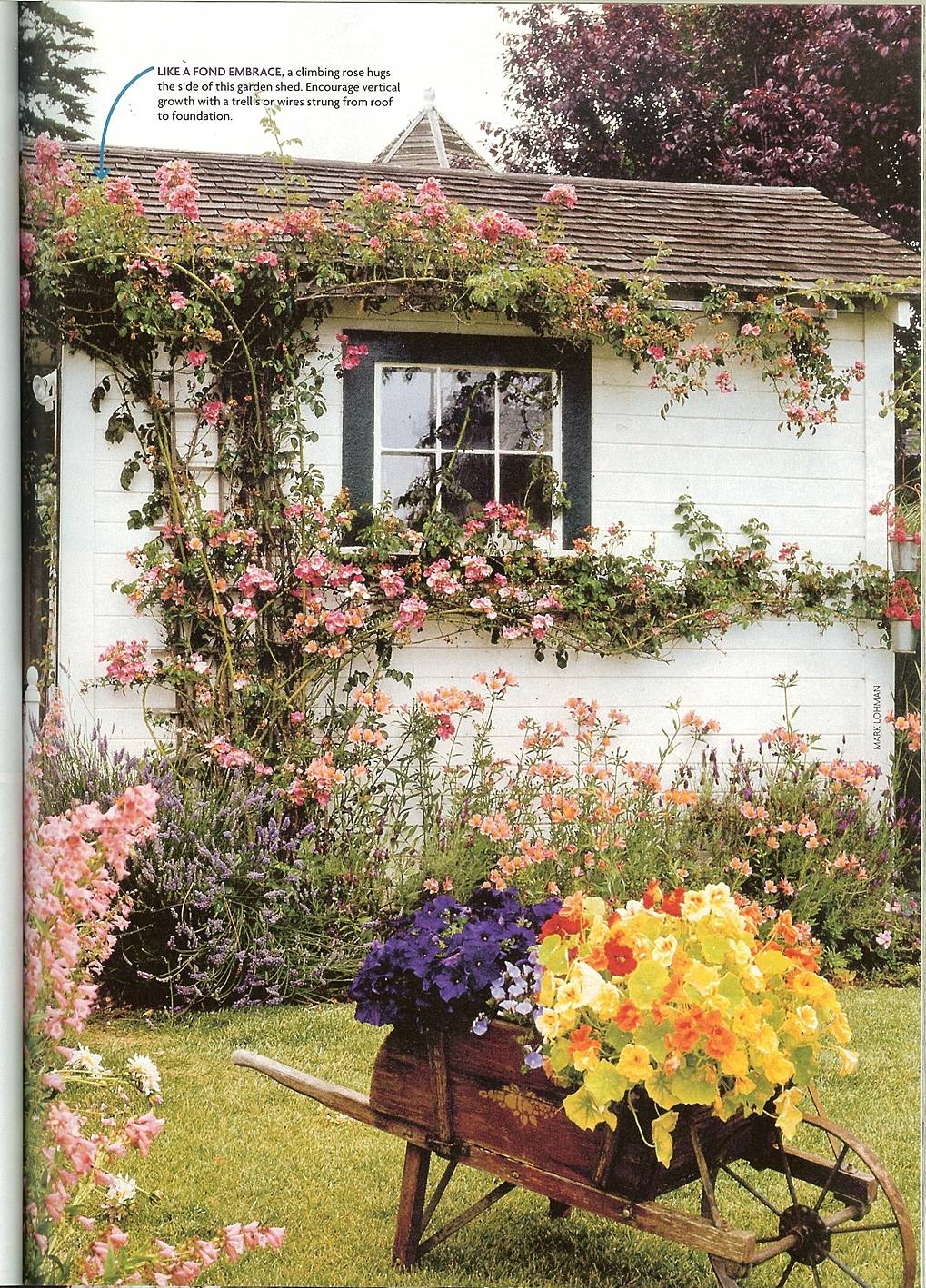 Gardens Flea Market Gardening