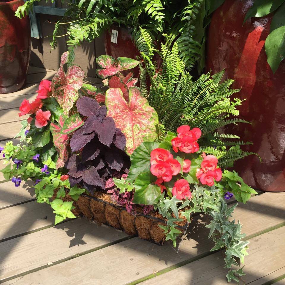 Now Flea Market Gardening