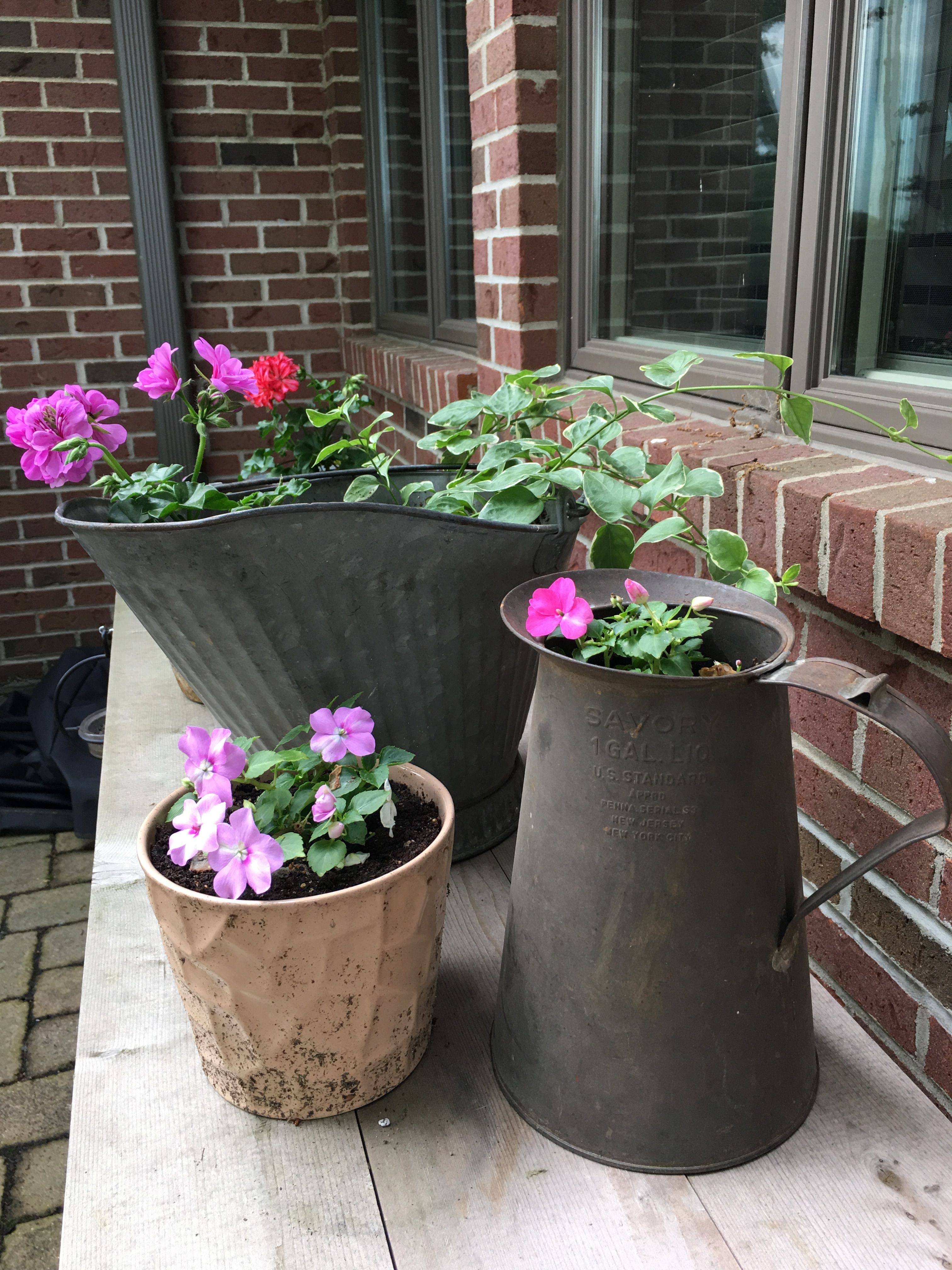 Flea Market Gardening