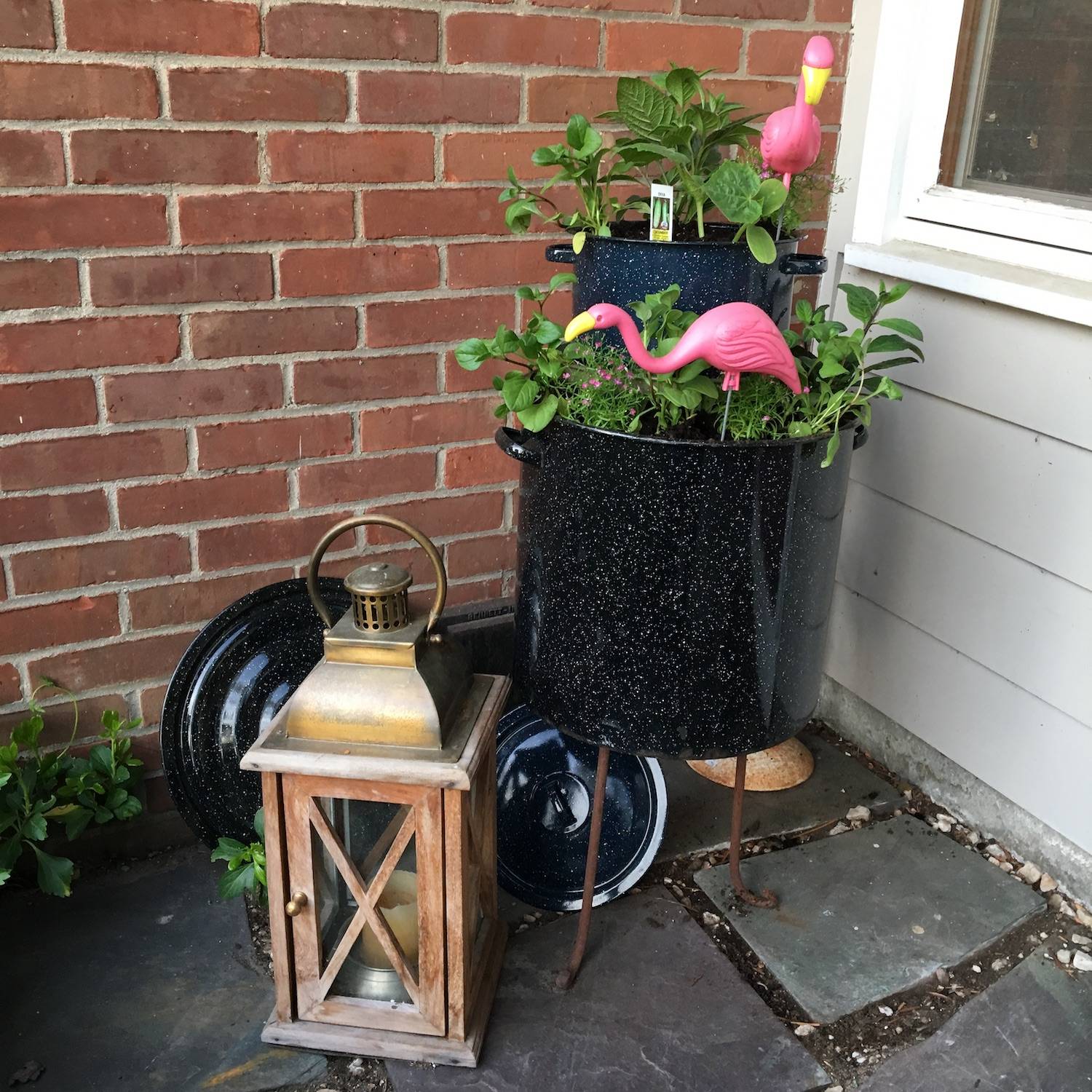 Flea Market Gardening