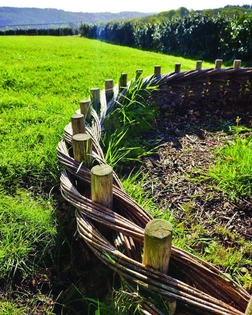 Unique Garden Fence Decoration Ideas