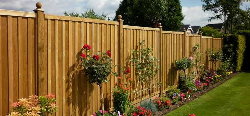 Beautiful Deer Proof Fence