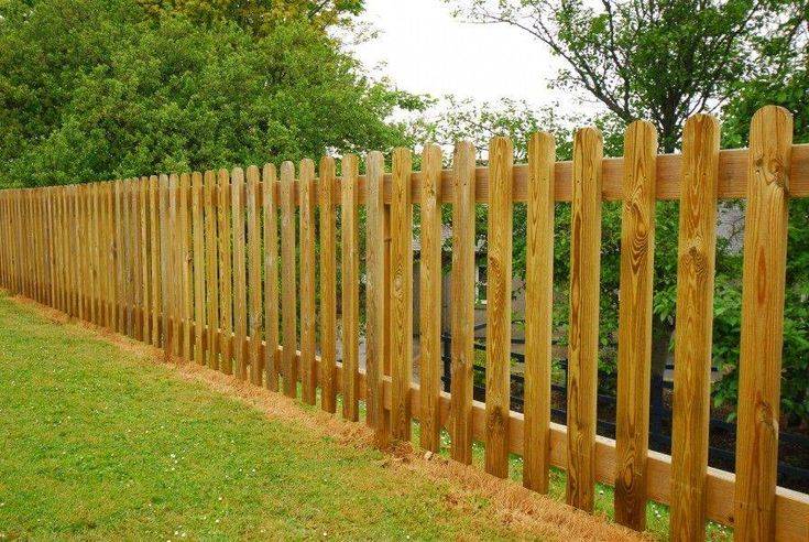 Bamboo Fencing