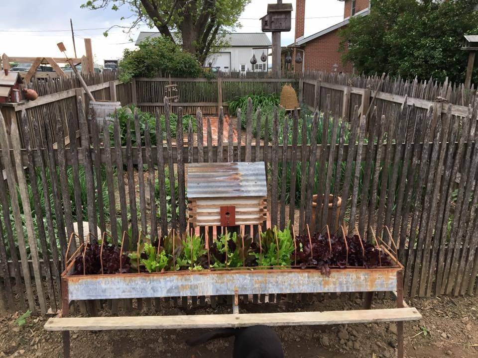 Very Primitive Fences Pinterest Garden Gates